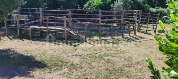 Terrain à Viterbo, Italy 23000m² No. 273198 7