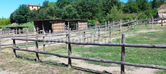 Terrain à Viterbo, Italy 23000m² No. 273198 10