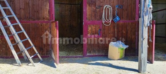 Terrain à Viterbo, Italy 23000m² No. 273198 21