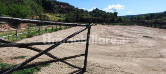 Terrain à Viterbo, Italy 23000m² No. 273198 25