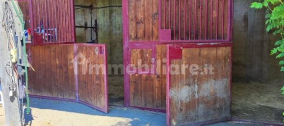 Terrain à Viterbo, Italy 23000m² No. 273198 8