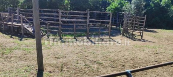 Terrain à Viterbo, Italy 23000m² No. 273198 6