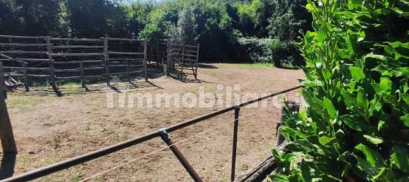 Terrain à Viterbo, Italy 23000m² No. 273198 16