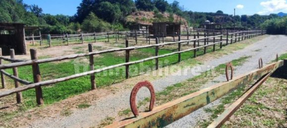 Terrain à Viterbo, Italy 23000m² No. 273198 32