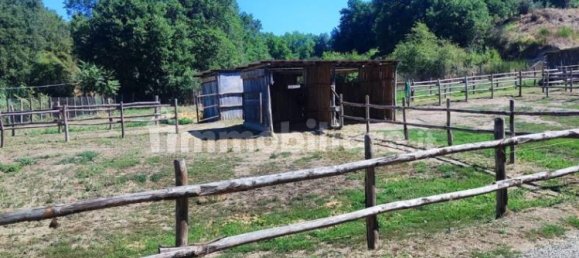 Terrain à Viterbo, Italy 23000m² No. 273198 9