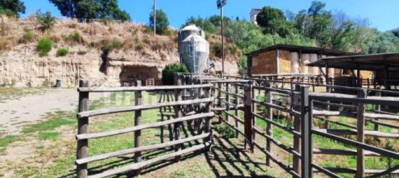 Terrain à Viterbo, Italy 23000m² No. 273198 22