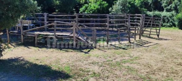 Terrain à Viterbo, Italy 23000m² No. 273198 4