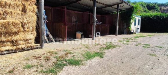 Terrain à Viterbo, Italy 23000m² No. 273198 14