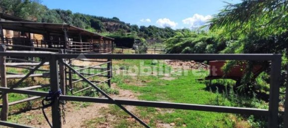 Terrain à Viterbo, Italy 23000m² No. 273198 23