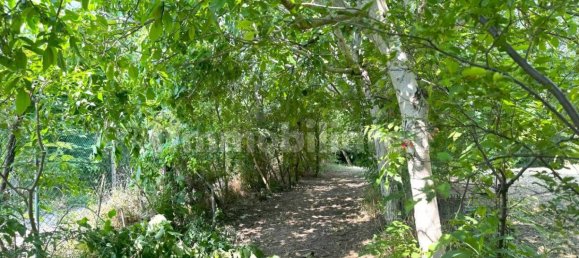 استوديو في San Bonifacio, Italy رقم 324544 3