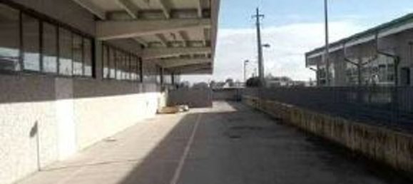 Gewerbliche Immobilie in Quistello, Italy 2397m², Nr. 303456 7