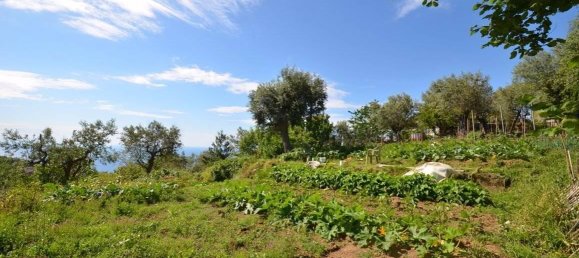 Дом с 4 комнатами в Масса Лубренсе, Италия № 177846 12