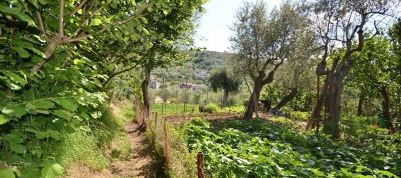 Дом с 4 комнатами в Масса Лубренсе, Италия № 177846 2