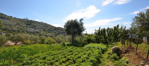 Дом с 4 комнатами в Масса Лубренсе, Италия № 177846 10