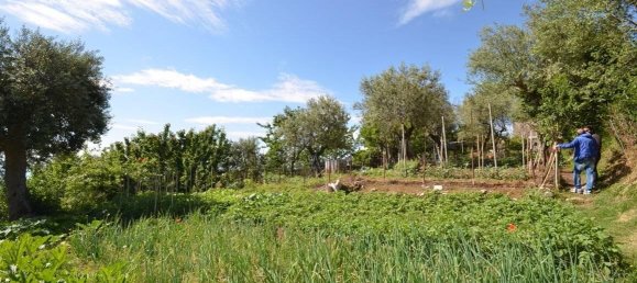 Дом с 4 комнатами в Масса Лубренсе, Италия № 177846 11