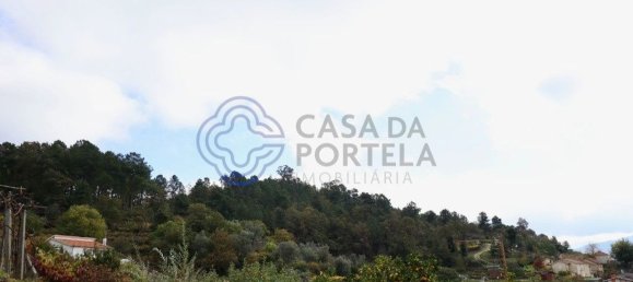 38890m² Land in Santa Marinha do Zezere, Portugal No. 36212 4