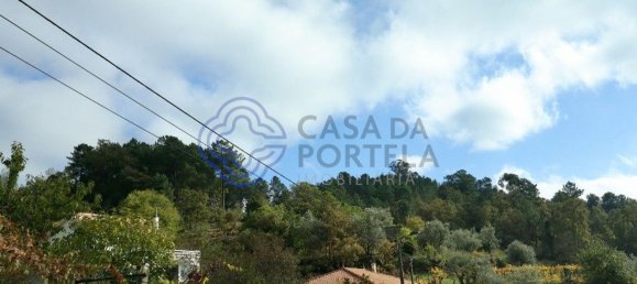 38890m² Land in Santa Marinha do Zezere, Portugal No. 36212 5