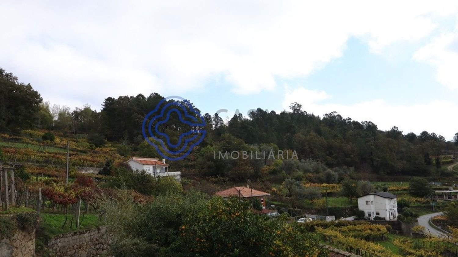 38890m² Land in Santa Marinha do Zezere, Portugal No. 36212