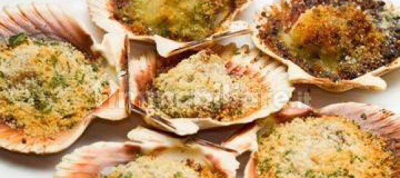 5 rooms Commercial property in Savona, Italy No. 262550 23