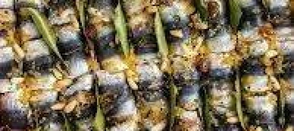 5 rooms Commercial property in Savona, Italy No. 262550 25