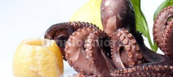 5 rooms Commercial property in Savona, Italy No. 262550 37