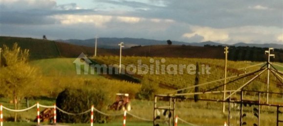 5 bedrooms House in Scansano, Italy No. 65450 16