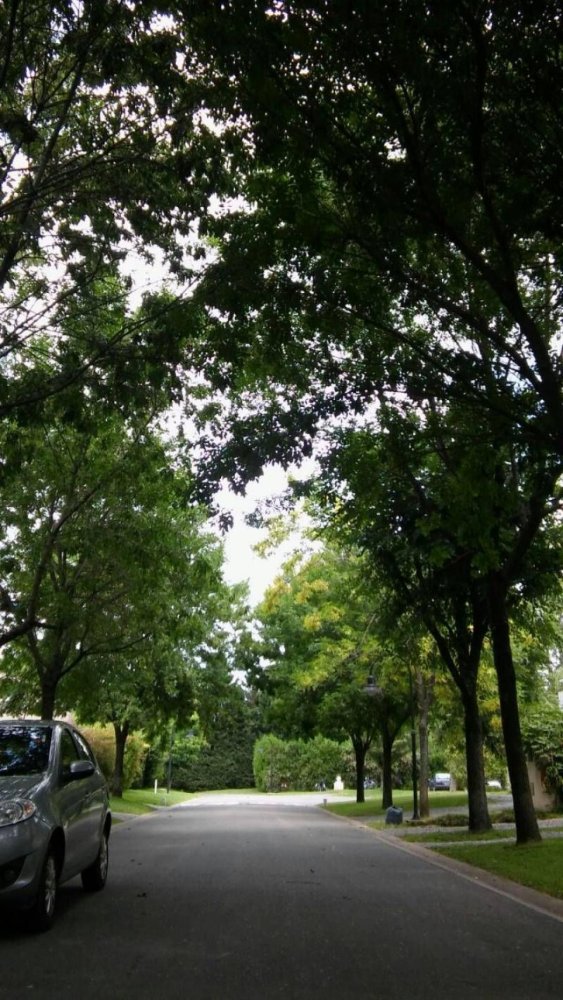 3 bedrooms House in Escobar, Argentina No. 17678