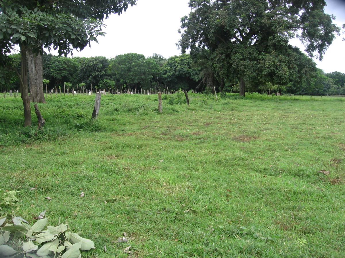 Land in Nicoya, Costa Rica No. 1370