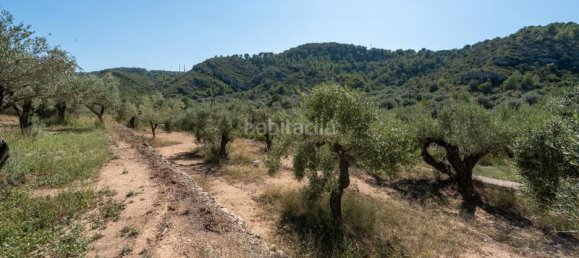 3 bedrooms House in Tortosa, Spain No. 138955 24
