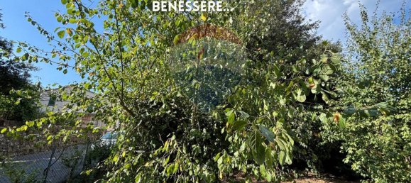 15غرفة منزل في Roccastrada, Italy رقم 138566 2