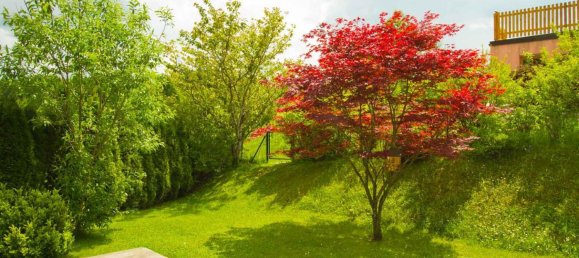 Casa de 4 habitaciónes en Hof bei Salzburg, Austria No. 256377 3