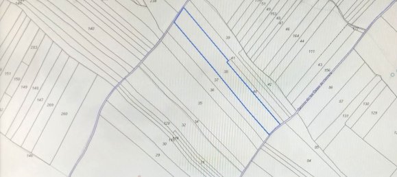 Земельный участок 67620м² в Мерида, Испания № 168963 3