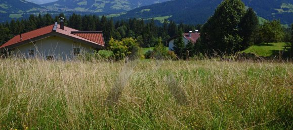 Земельный участок 807м² в Хопфгартен им Бриксенталь, Австрия № 40536 4