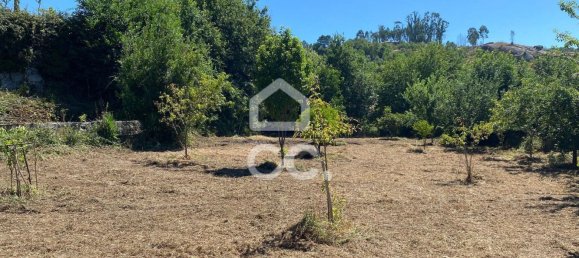 3 bedrooms House in Ribeiros, Portugal No. 173116 12