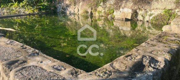 3 bedrooms House in Ribeiros, Portugal No. 173116 4