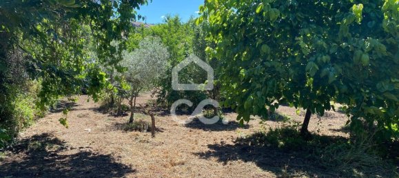 3 bedrooms House in Ribeiros, Portugal No. 173116 13