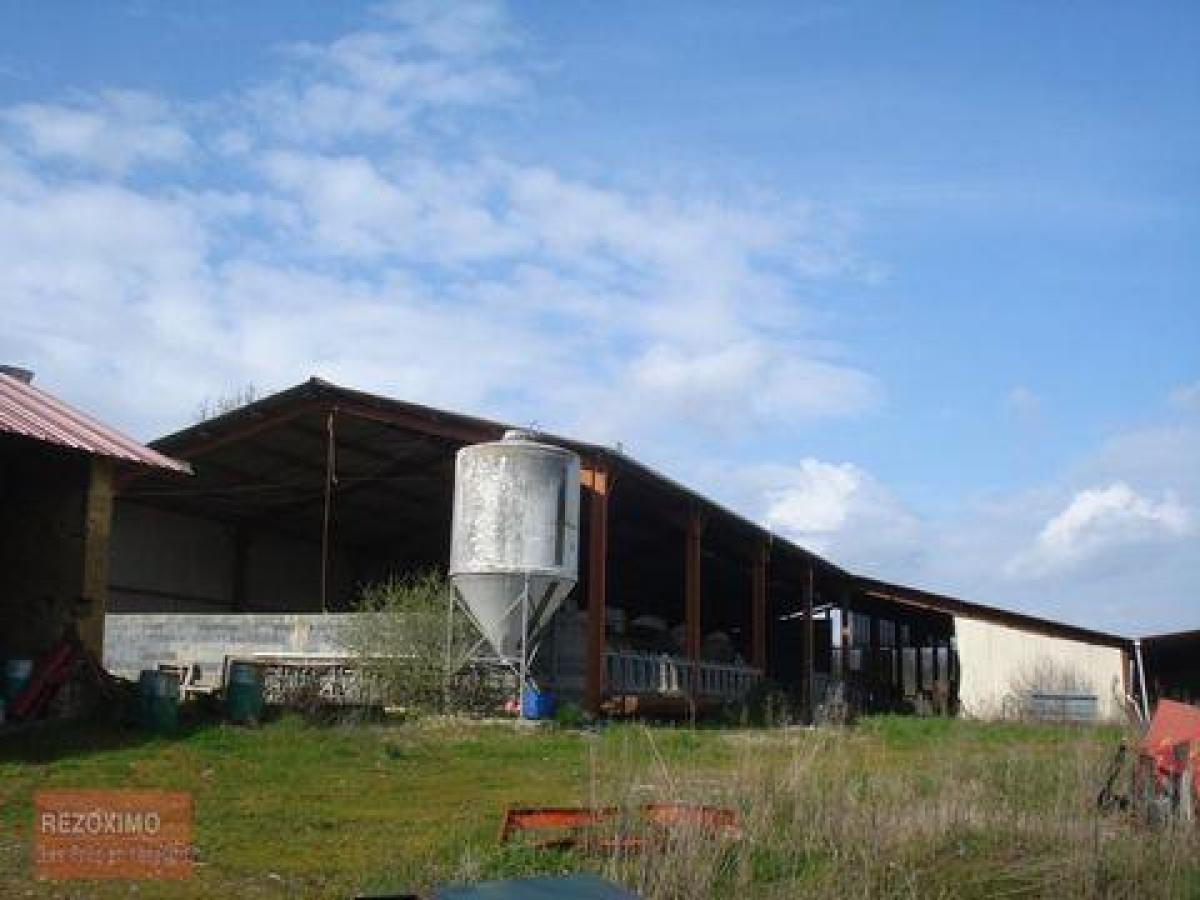 3 bedrooms Farm in Mirande, France No. 19520