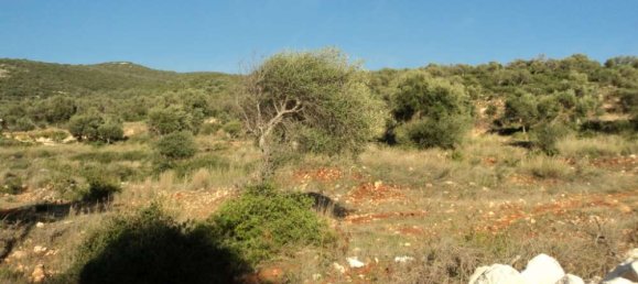  Hotel in Lefkada, Greece No. 808 3