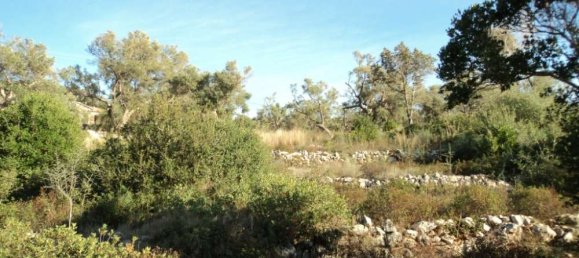  Hotel in Lefkada, Greece No. 808 5