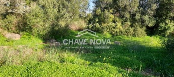 Grundstück in Sao Bartolomeu de Messines, Portugal 3900m², Nr. 57942 3