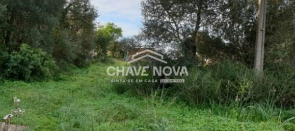 Grundstück in Sao Bartolomeu de Messines, Portugal 3900m², Nr. 57942 10