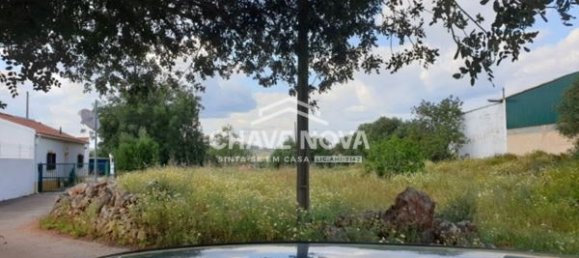 Grundstück in Sao Bartolomeu de Messines, Portugal 3900m², Nr. 57942 2