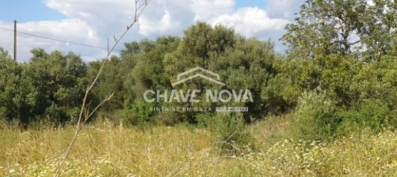 Grundstück in Sao Bartolomeu de Messines, Portugal 3900m², Nr. 57942 4