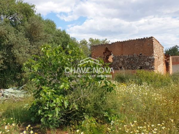 Grundstück in Sao Bartolomeu de Messines, Portugal 3900m², Nr. 57942