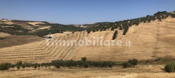 Terrain à Vasto, Italy 43000m² No. 236432 2