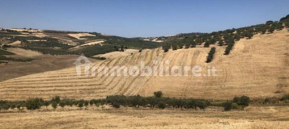 Terrain à Vasto, Italy 43000m² No. 236432 5