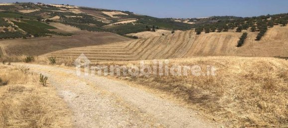 Terrain à Vasto, Italy 43000m² No. 236432 6