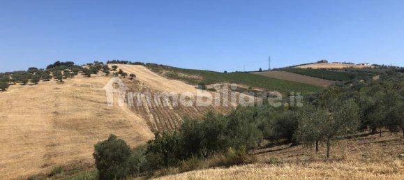 Terrain à Vasto, Italy 43000m² No. 236432 4