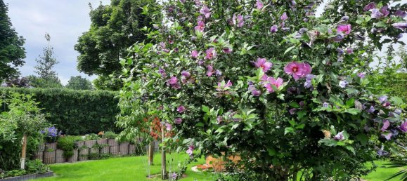 3 bedrooms House in Markisch-Oderland, Germany No. 293467 19