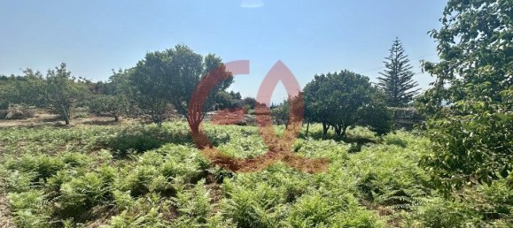 Grundstück in Viana do Castelo, Portugal 2300m², Nr. 309893 2